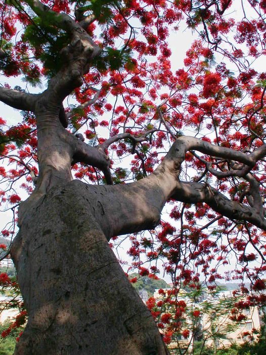 生活禪｜佛家的榮華富貴