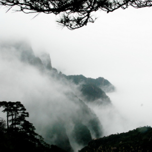 生活禪｜可以花錢請人幫你化解業障嗎？